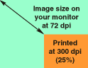 Monitor vs. printed resolution chart